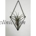 Stained Glass Wall Pyramid Terrarium   321500358040